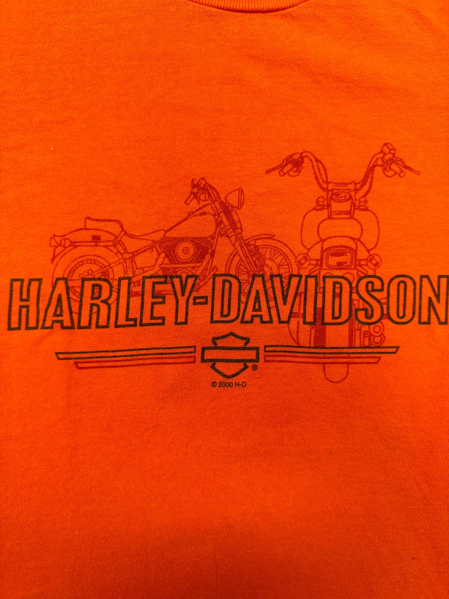 Vintage Harley Davidson Biker Logo Lakeland Florida Tee(Youth Large)