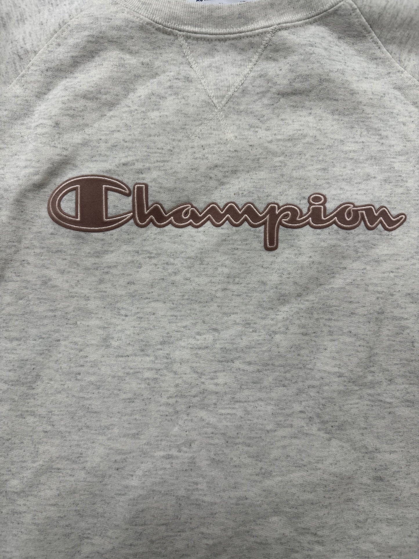 Vintage Champion Sports Wear Crewneck Sweatshirt(XXL)