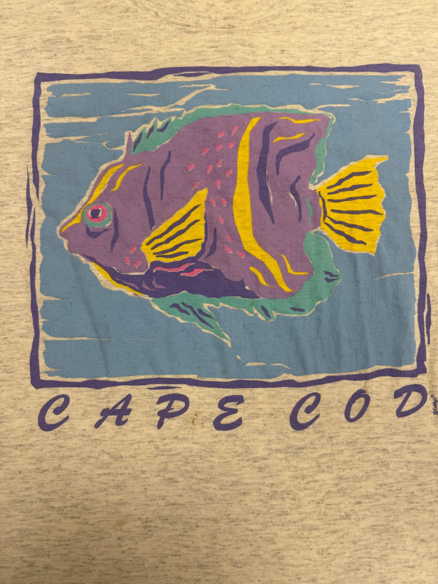 Vintage Cape Cod Fish Destination Logo Tee Shirt(Large)