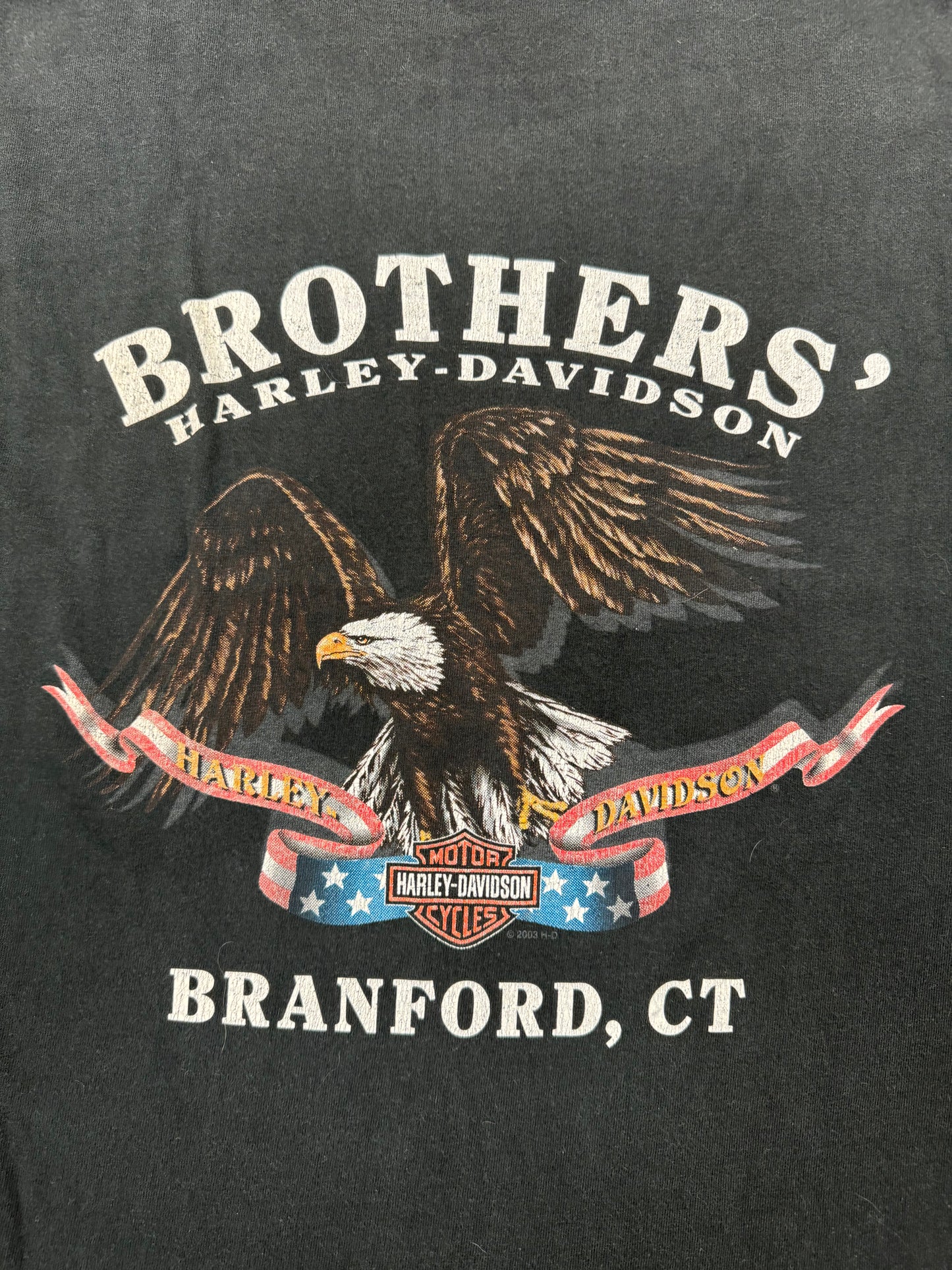 Vintage Harley Davidson Biker Logo Branford Connecticut Vacation Tee(Medium)