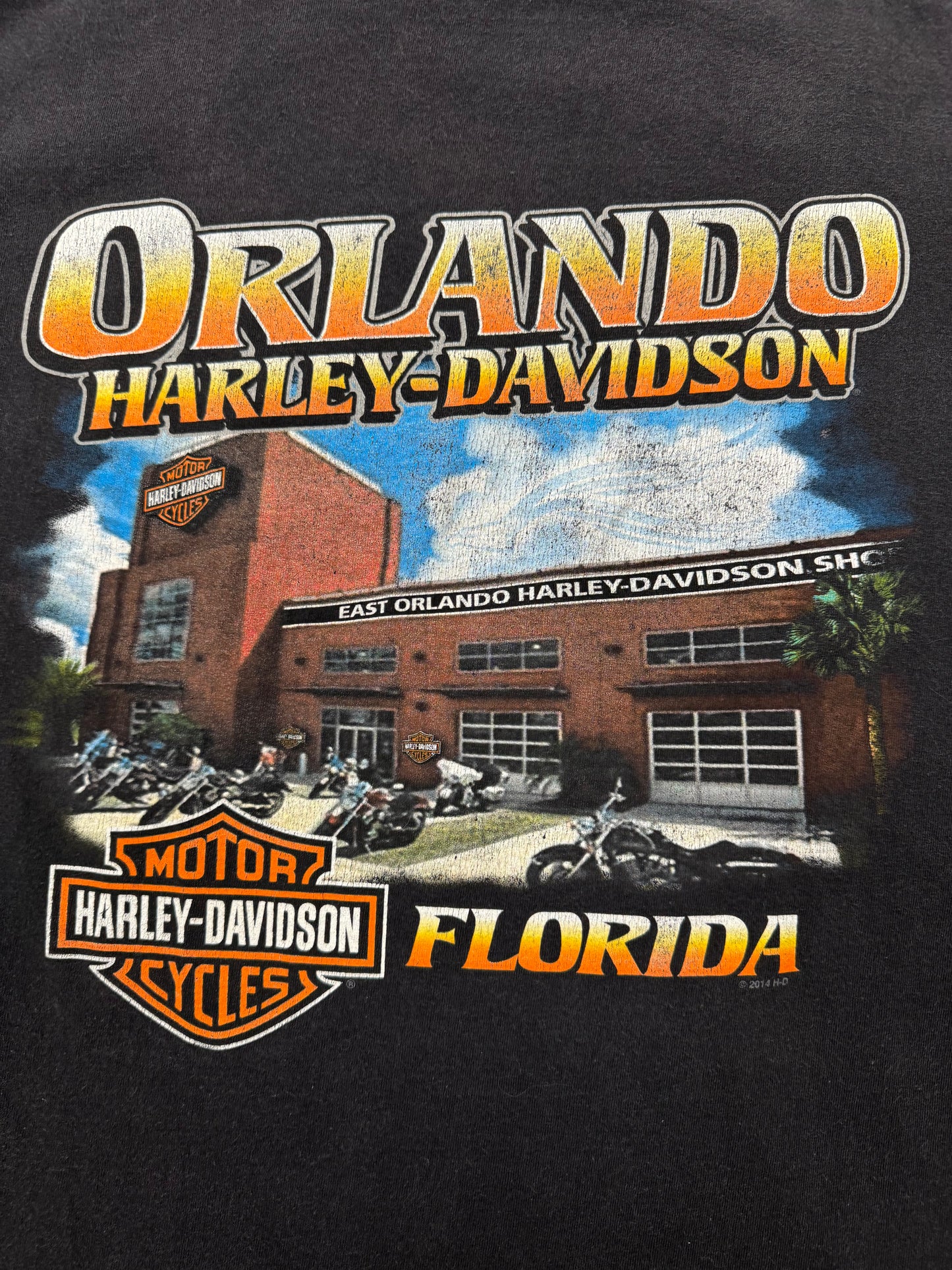 Vintage Harley Davidson Biker Logo Orlando Florida Tee(Large)