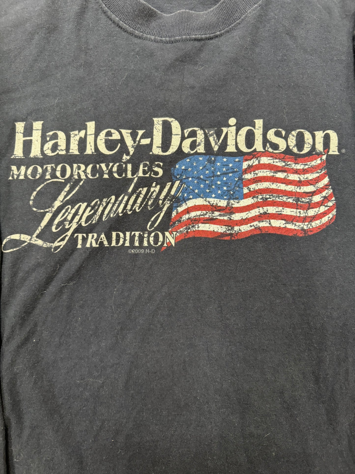 Vintage Harley Davidson Biker Logo Gettysburg Pennsylvania Longsleeve Tee(Large)