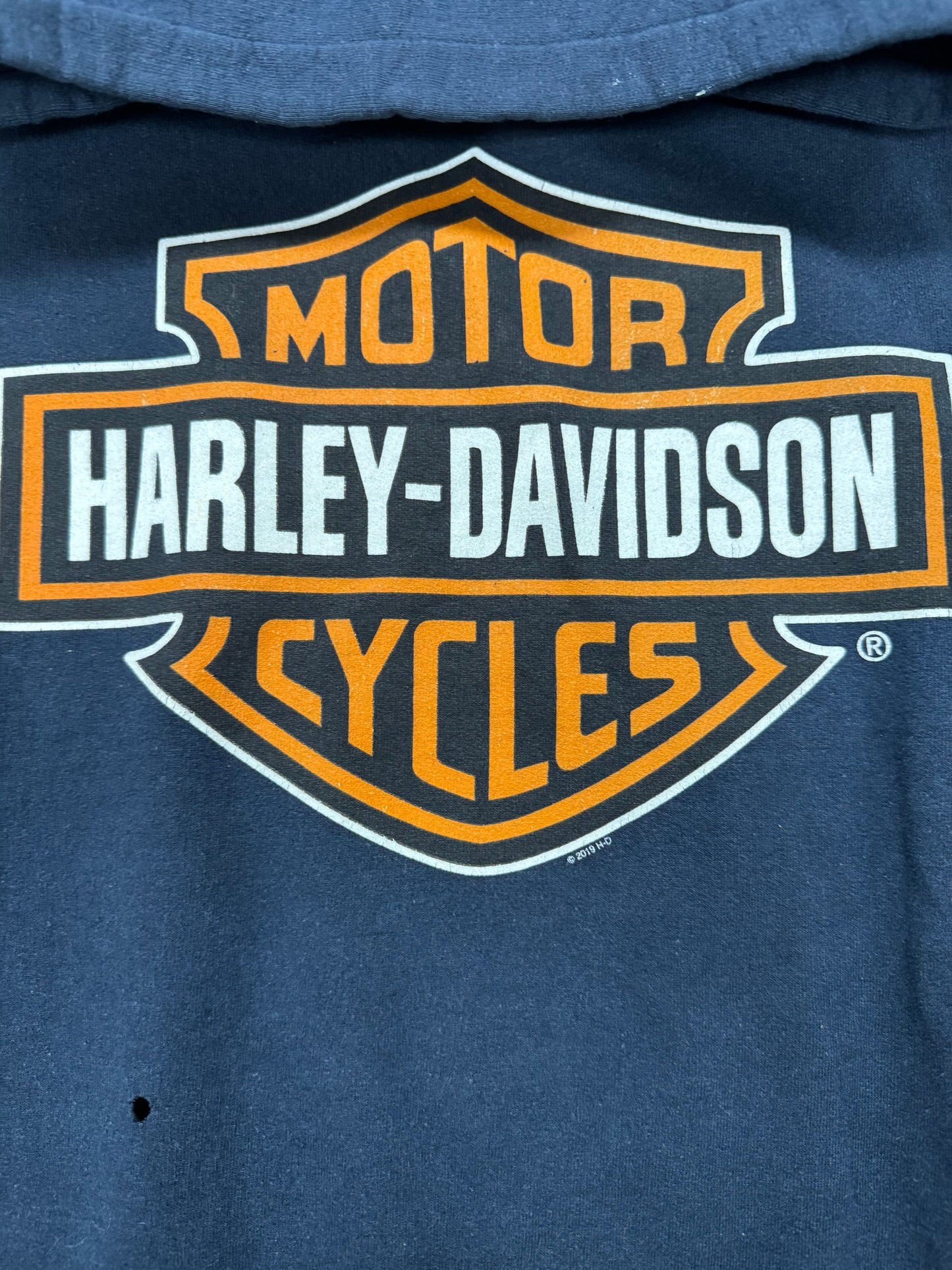 Vintage Harley Davidson Biker Logo Wisconsin Hooded Sweatshirt(XXL)