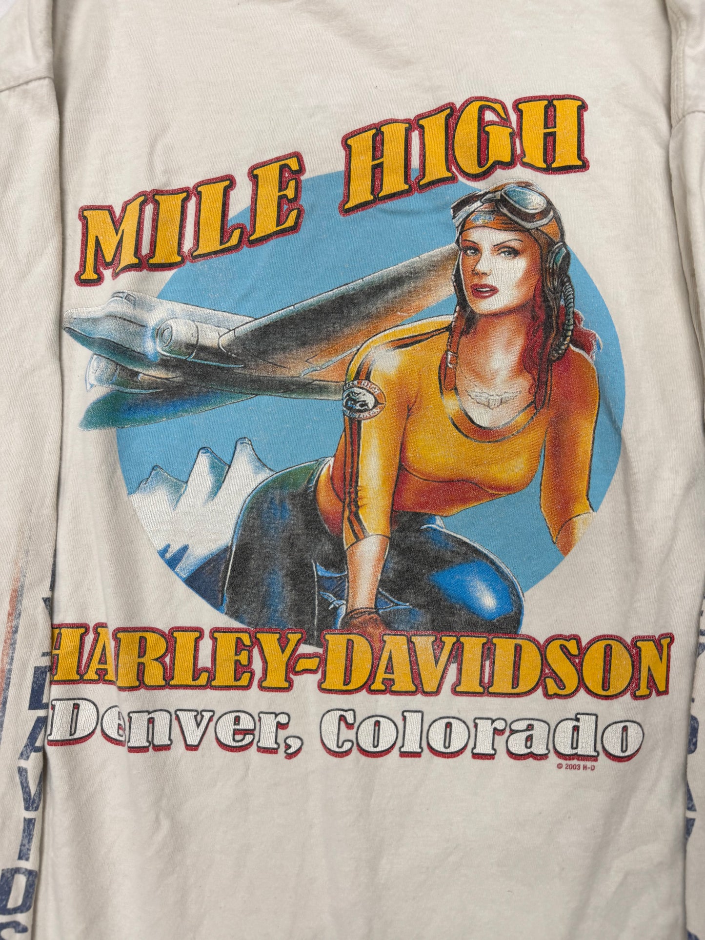 Vintage Harley Davidson Biker Logo Denver Colorado Longsleeve Tee(Large)